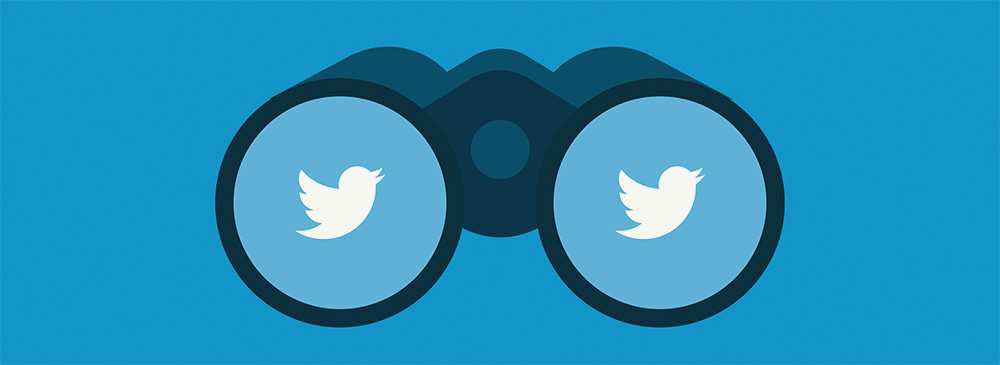 Cómo Construir el Perfil Ideal para tu Marca en Twitter
